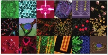 Collage of nanomedical particles and devices developed by Alliance members.