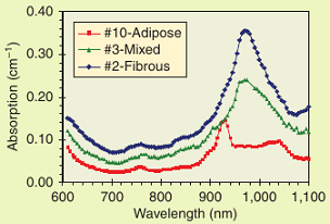 Figure 1. Absorption spectra measured in vivo from the breast of three healthy volunteers with different breast types. The fibrous pattern (associated with a highter risk factor) can be easily identified by the larger water absorption peak at 970 nm (blue line).