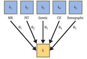 Illustration of using multiple kernel learning to fuse data from five sources.