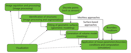 Biomedical image-based modeling, simulation, and visualization pipeline. Once created, the pipeline can be used in many different biomedical or other science and engineering fields.