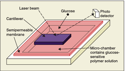 A MEMS affinity sensor for detection of glucose. Its length and width are each approximately 750 µm.
