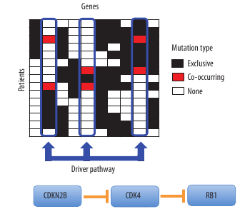 Figure 2. The De novo Driver Exclusivity (Dendrix) algorithm uses a Markov chain Monte Carlo method to sample submatrices of the mutation matrix with high coverage and exclusivity.